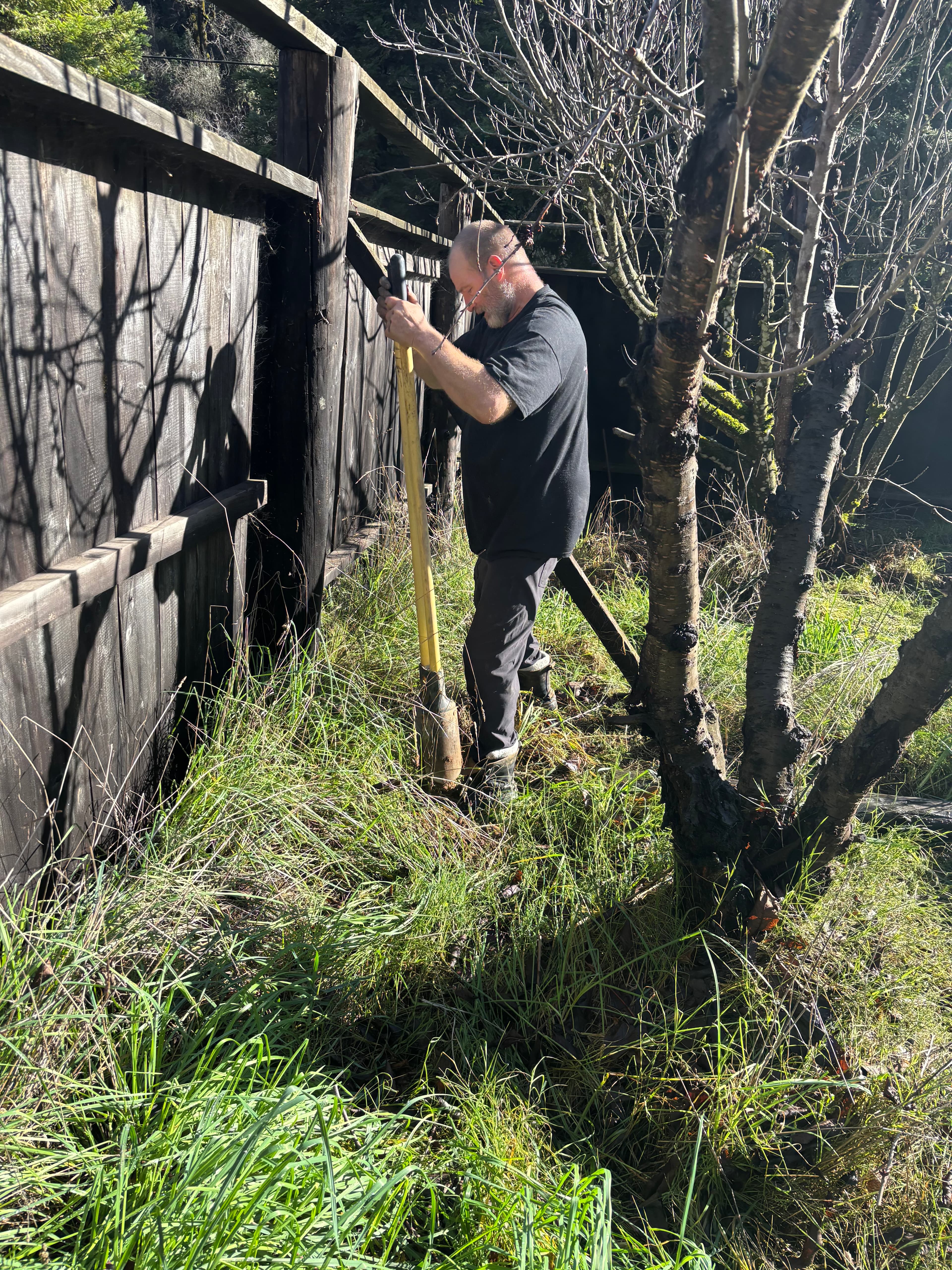 Mendo Labor Cooperative workers on the job - Photo 3