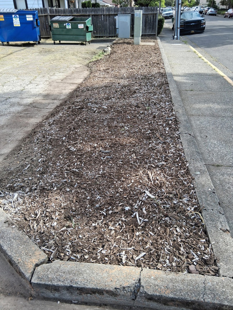 Freshly cleared and mulched planter bed at Prime Market after the co-op cleanup
