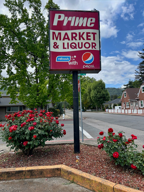 Red roses in bloom at the Prime Market sign, planted and tended by the co-op